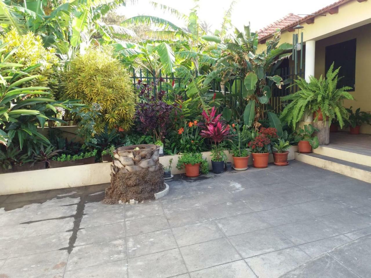 Ribeira Grande Country house