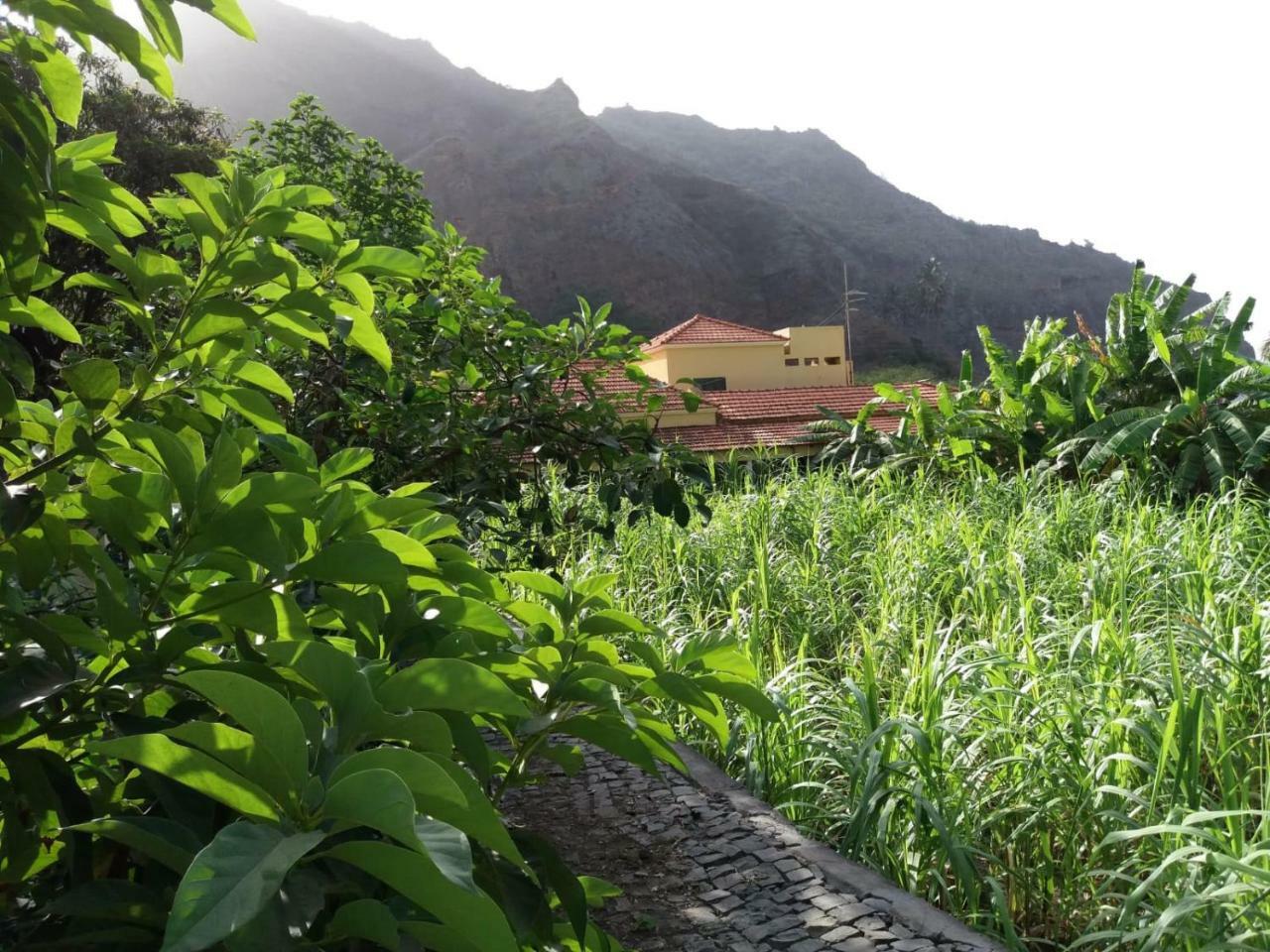 Ribeira Grande * Cha de Arroz